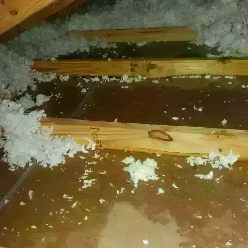 Attic Water Damage in West Peoria, IL