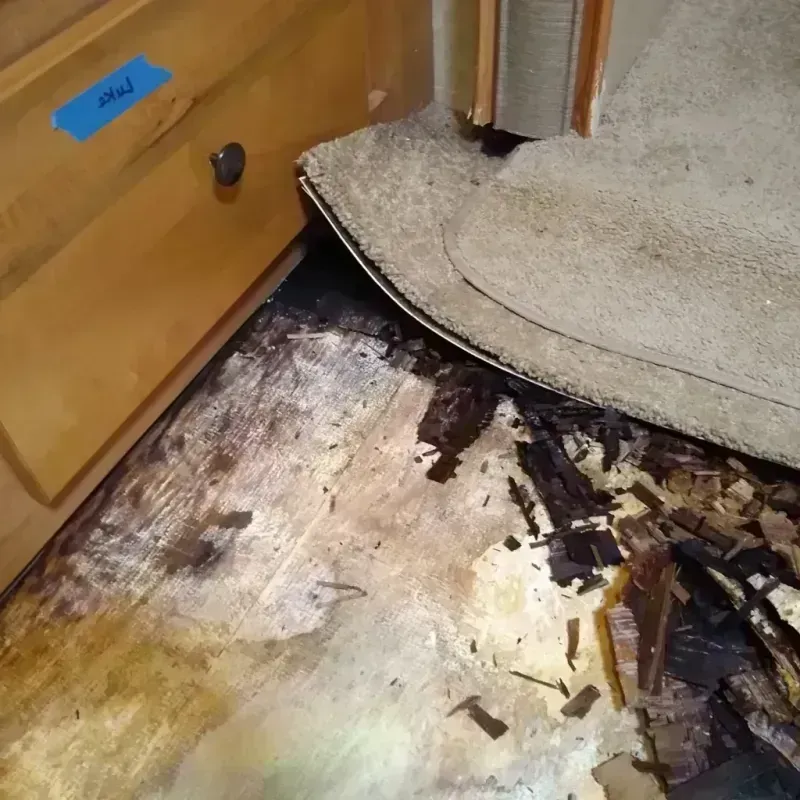 Wood Floor Water Damage in West Peoria, IL